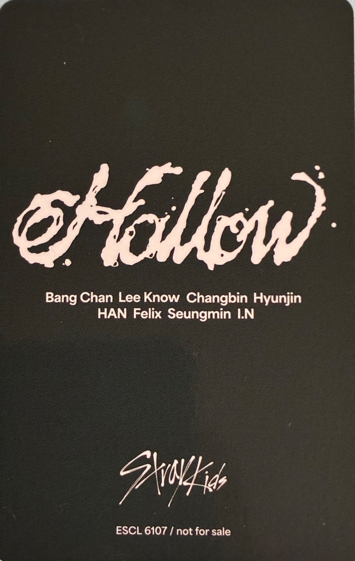 Lee Know Stray Kids photocard back side - Random Photocard