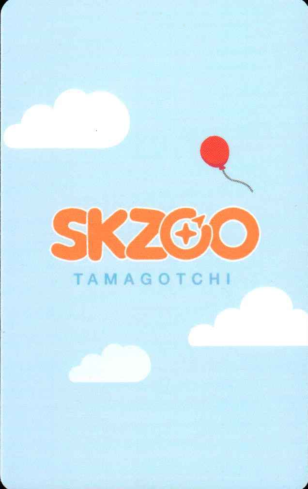 Felix Stray Kids photocard back side - Benefit