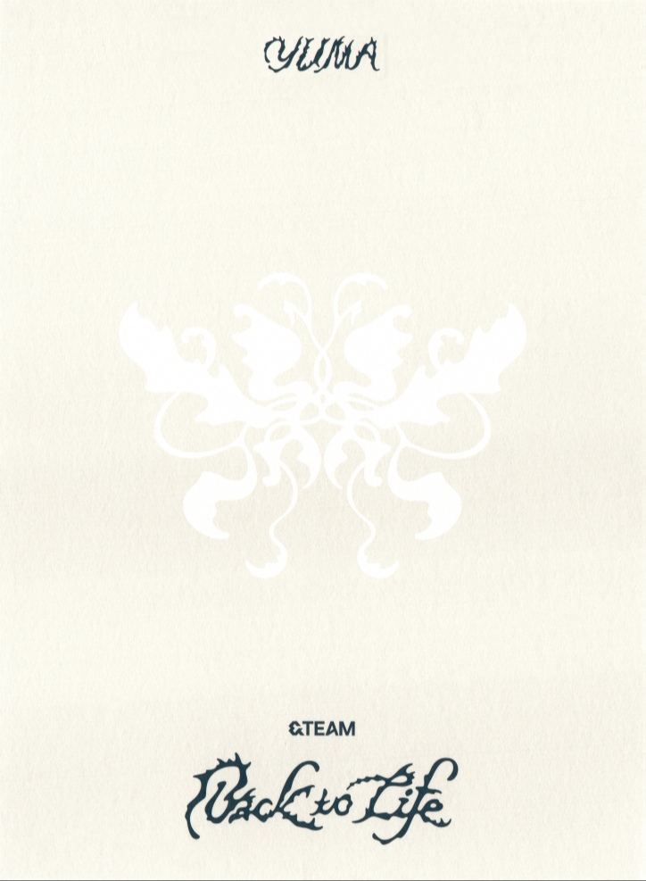 Yuma &TEAM photocard back side - Postcard Set
