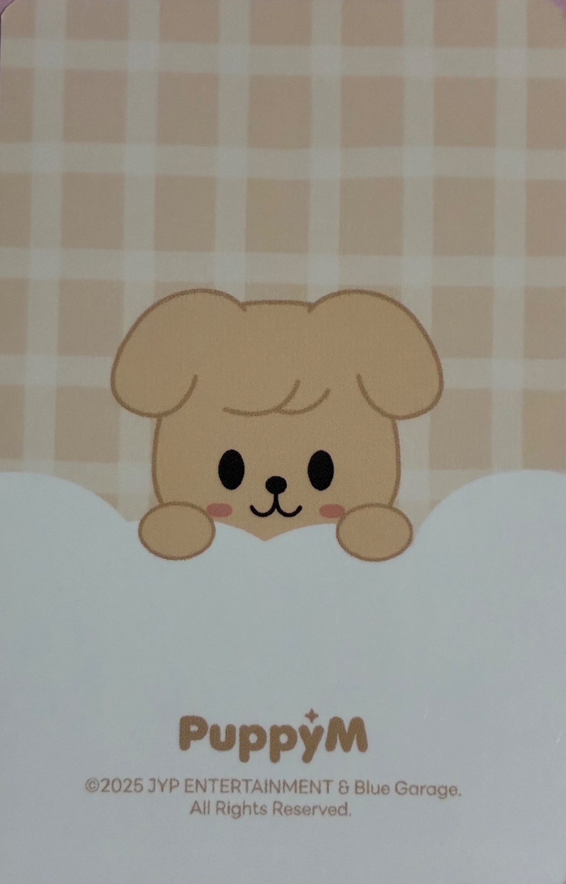 Seungmin Stray Kids photocard back side - SKZOO Tincase