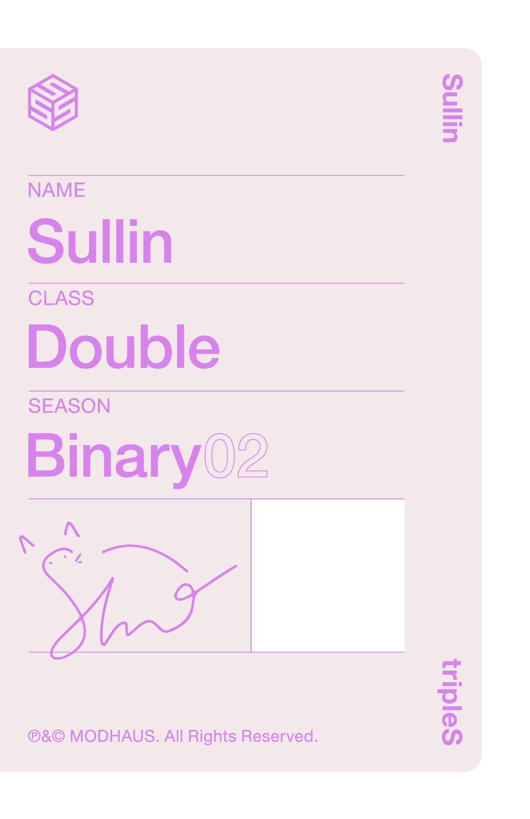Sullin tripleS photocard back side - Double Class Objekt