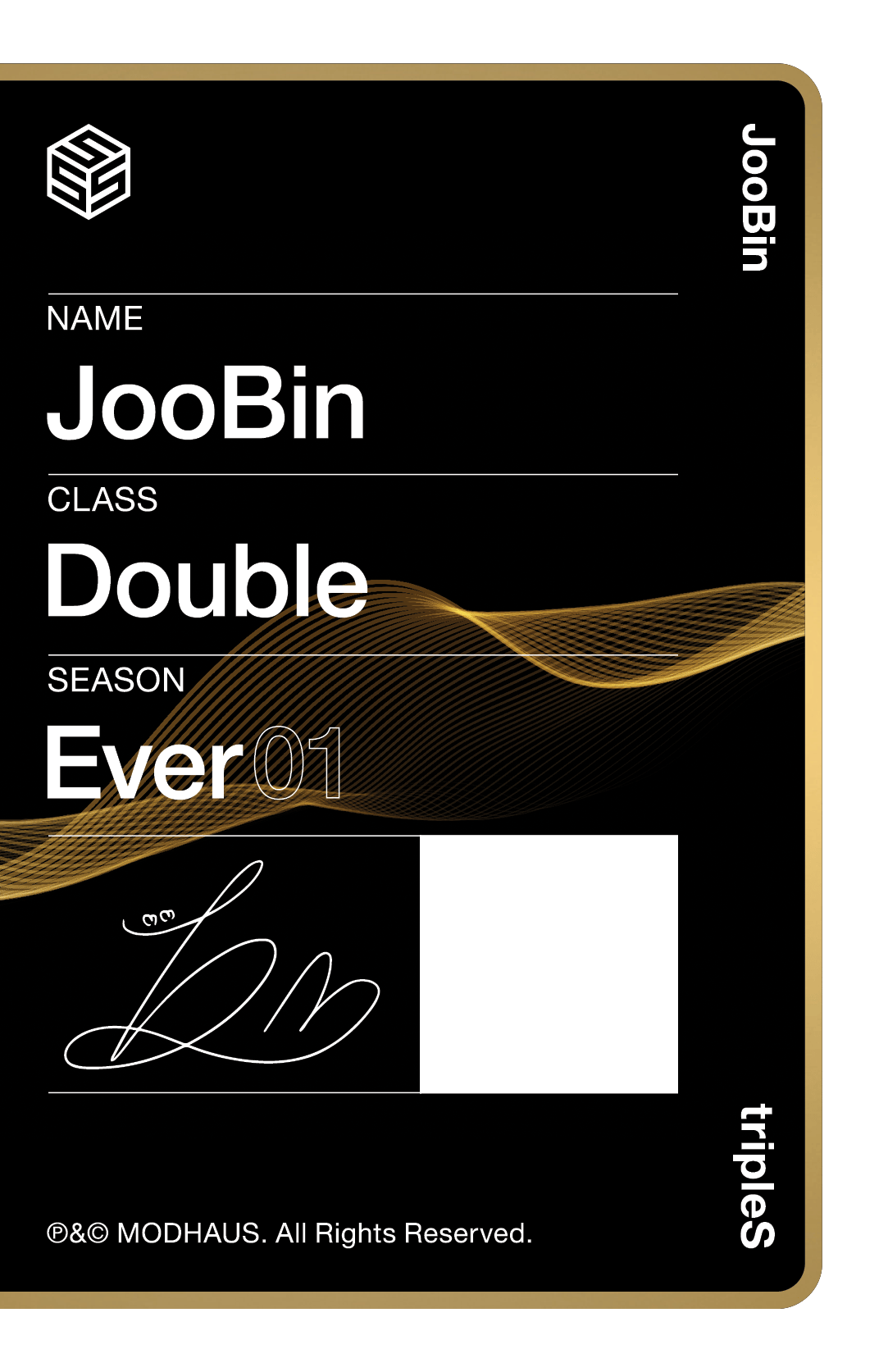 Joobin tripleS photocard back side - Photocard (Ver 3)