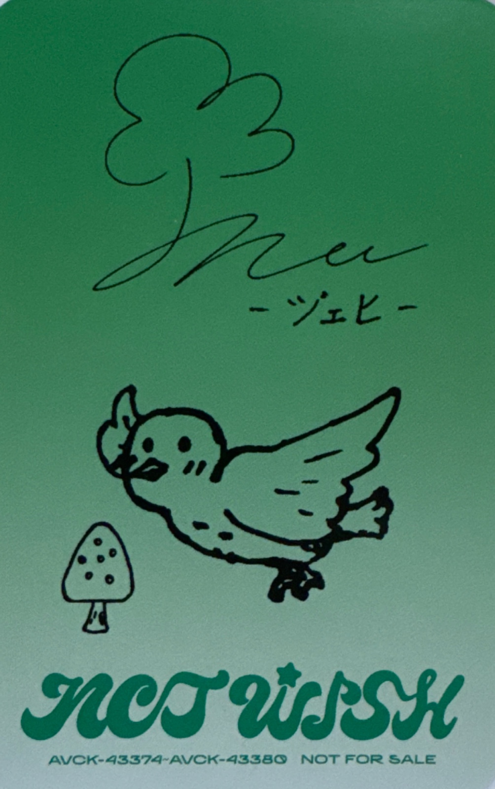 Jaehee NCT WISH photocard back side - Trading Cards