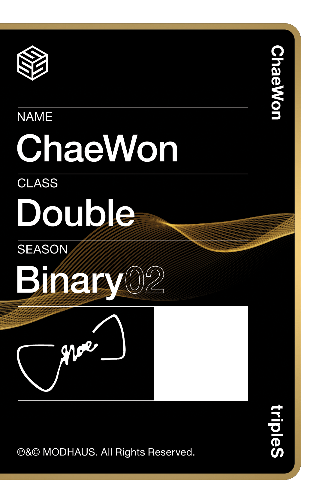 Chaewon tripleS photocard back side - Double Class Objekt