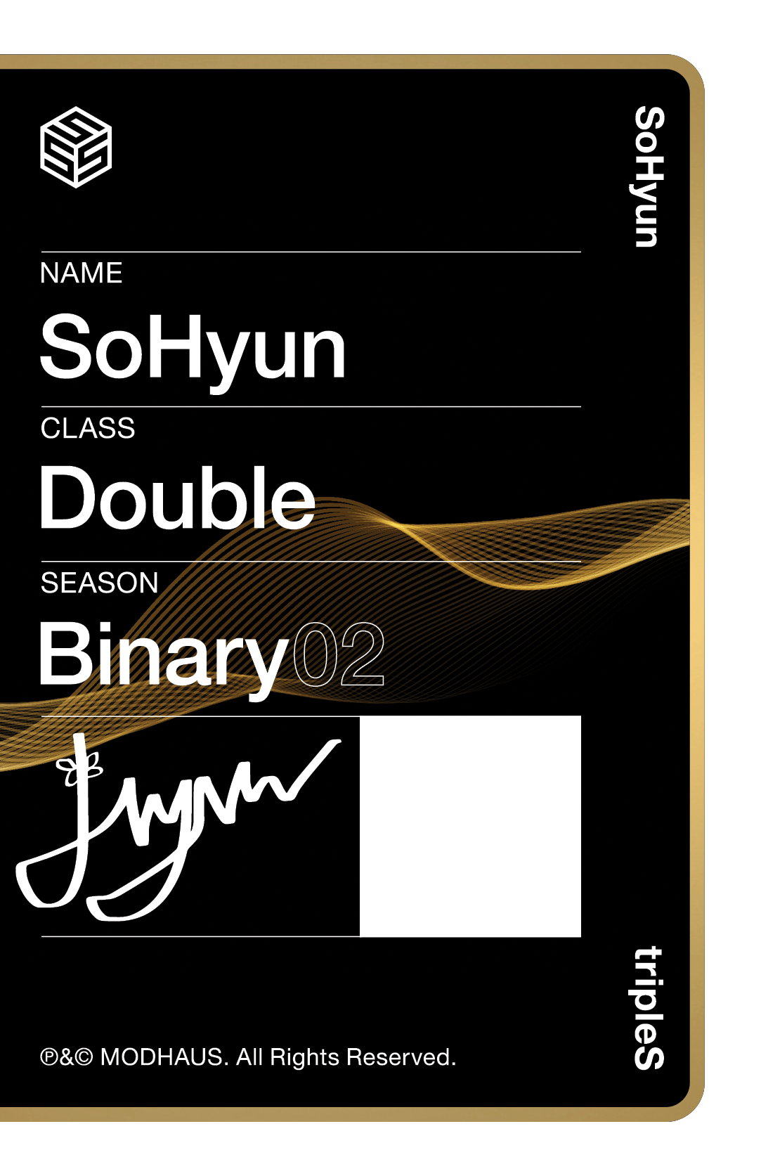 Sohyun tripleS photocard back side - Double Class Objekt