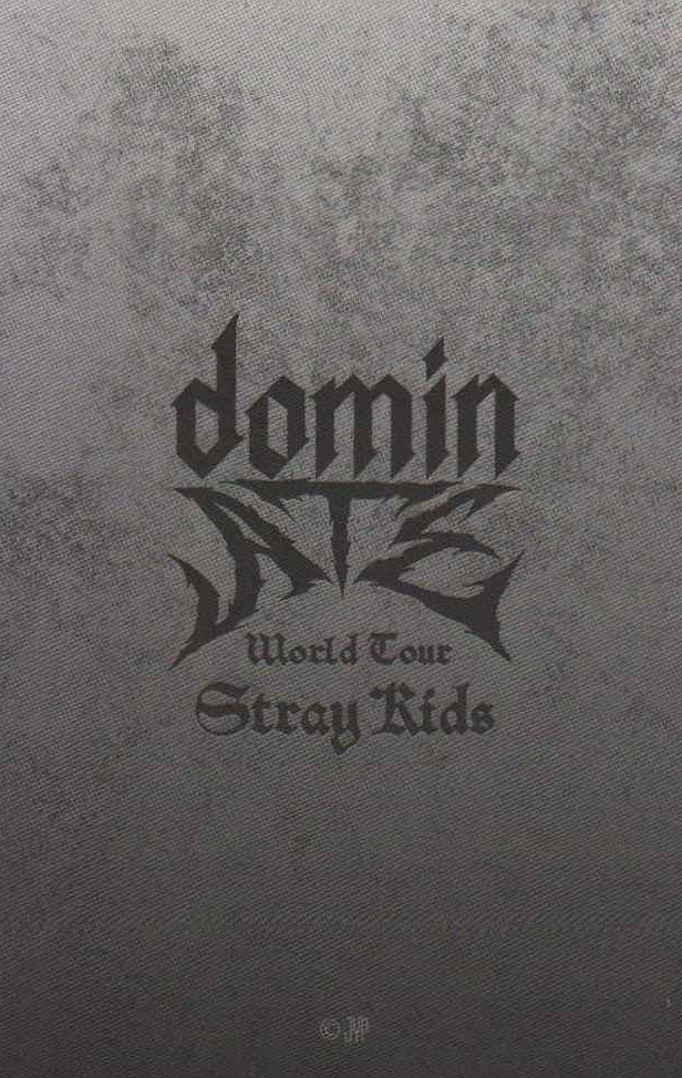 Lee Know Stray Kids photocard back side - Photocards / STADIUM (Japan)