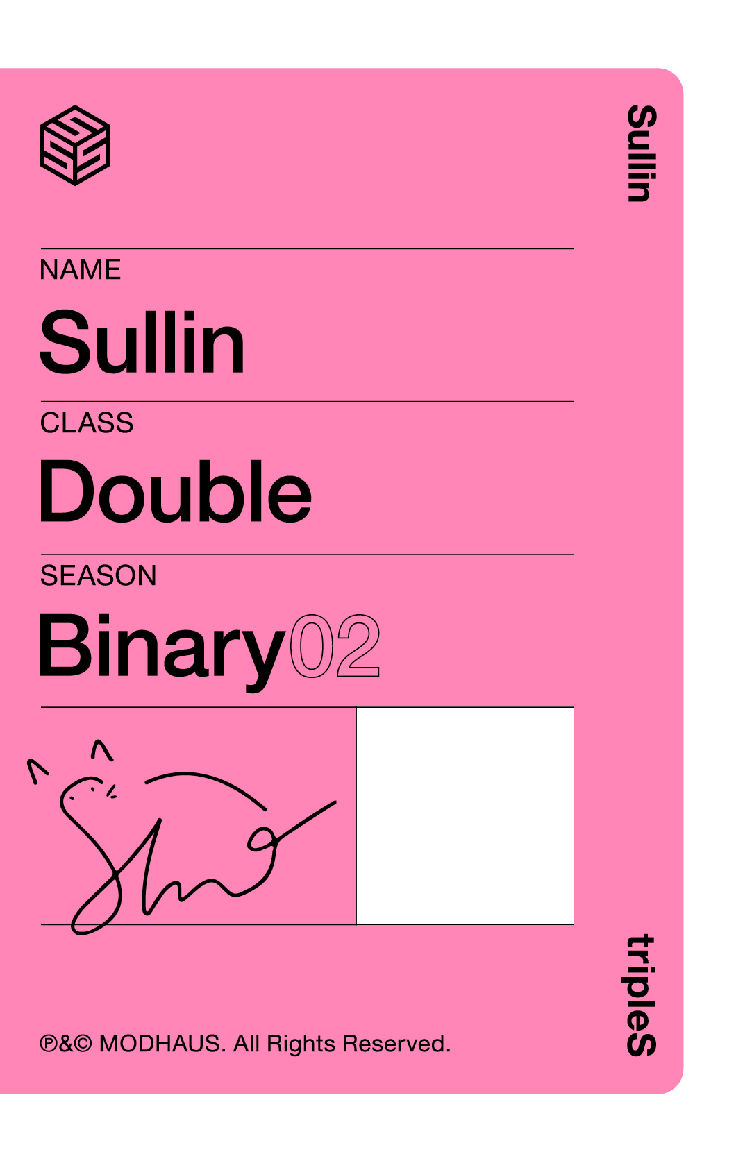 Sullin tripleS photocard back side - Showcase Objekt Pack
