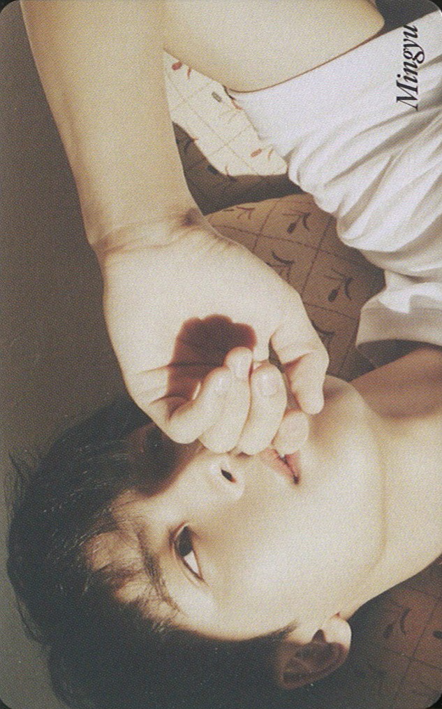 Mingyu SEVENTEEN photocard from Preorder Benefit