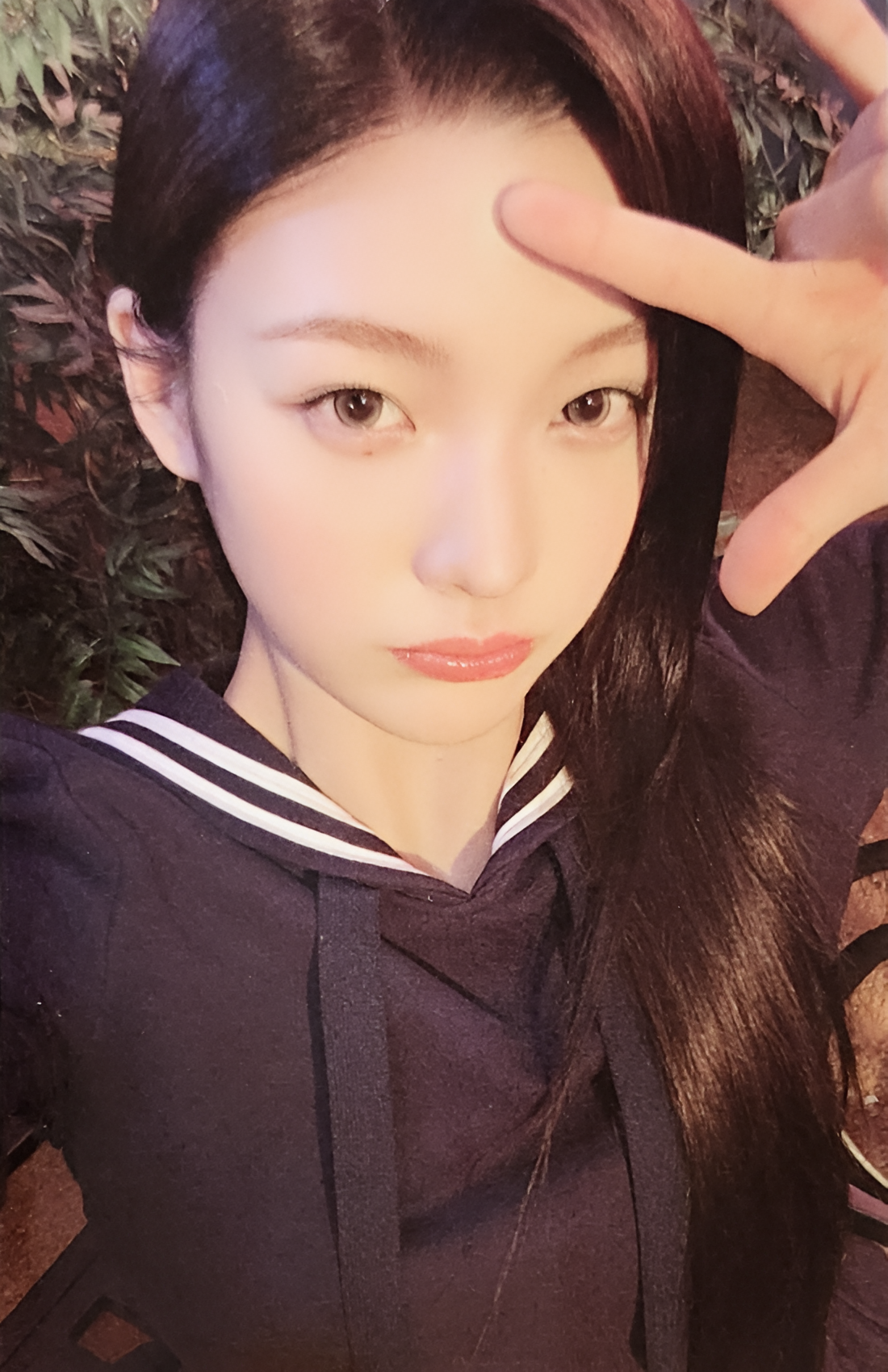Iroha