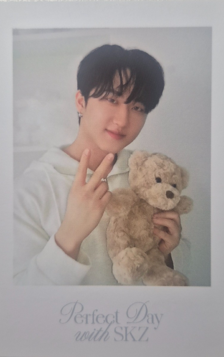 2024 Season's Greetings - Perfect Day with SKZ Polaroid Photocard Set