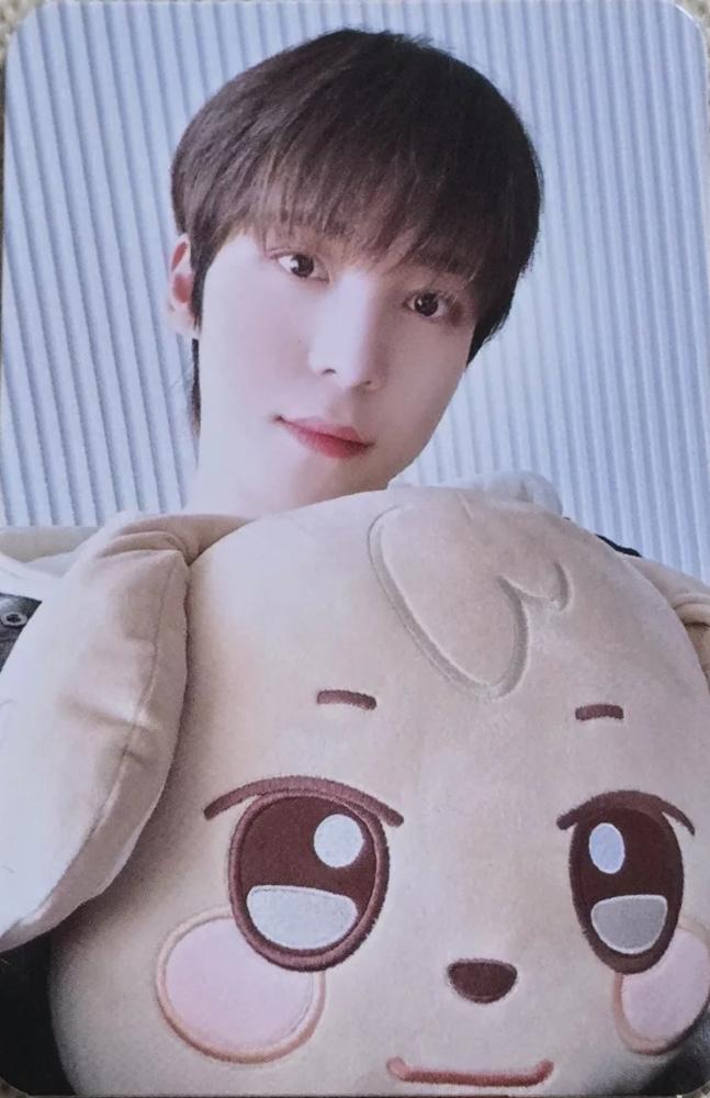 ANITEEZ in ICE CITY Plush Cushion