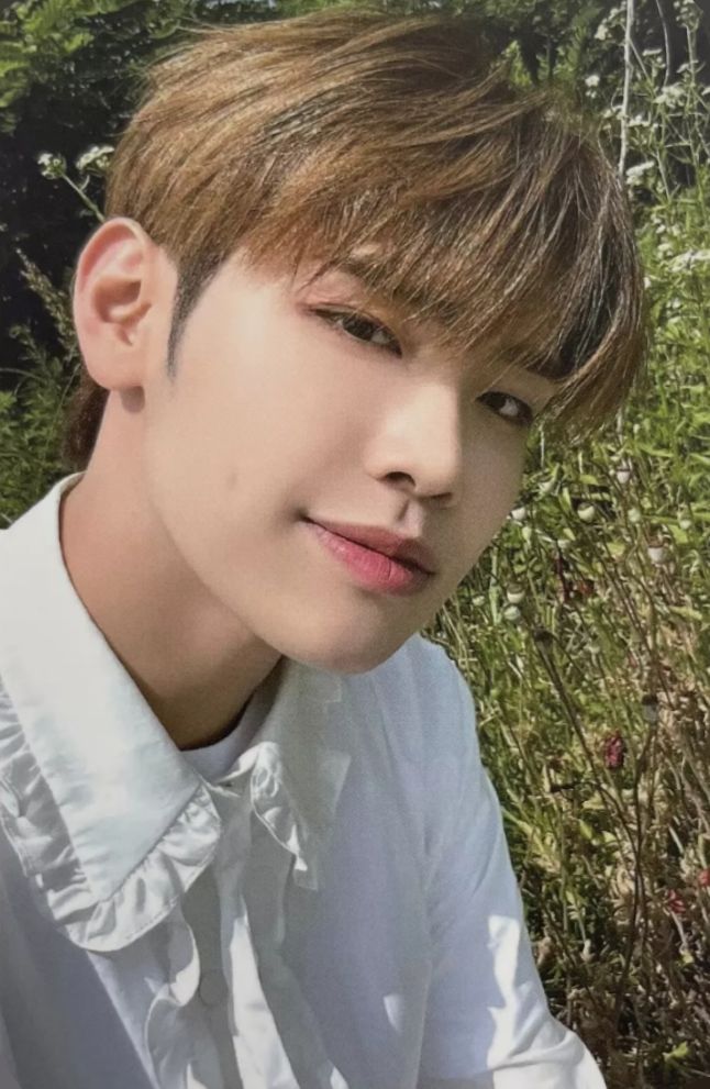 Soundwave 1.0 Digipack Ver. LD