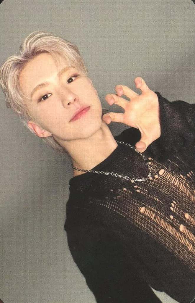 Hoshi SEVENTEEN photocard - SPILL THE FEELS Photocard