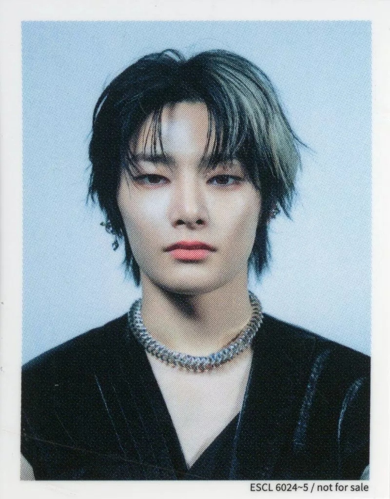 I.N Stray Kids photocard - GIANT ID Photo