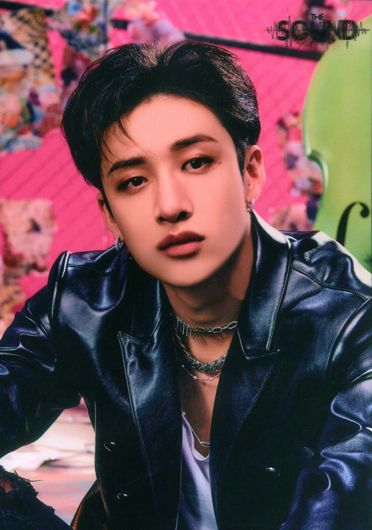 Official MD Postcard Set C