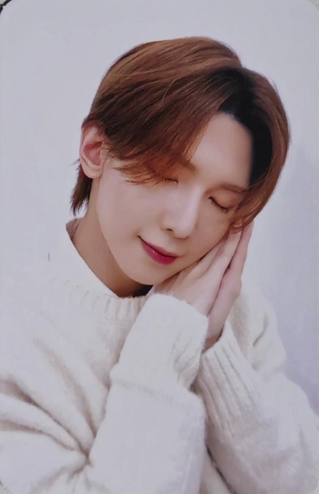 ANITEEZ in DREAMLAND Purchase Benefit 50,000 KRW