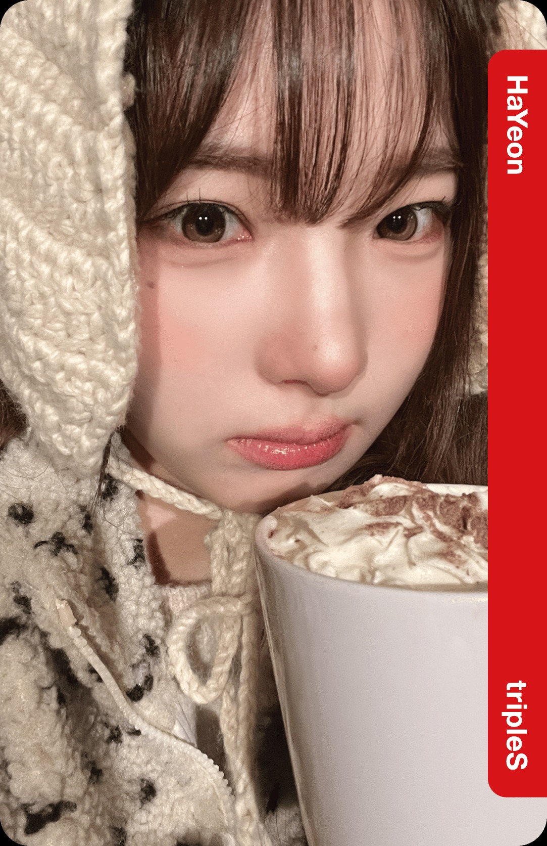 Lotte Home Shopping Collab Double Class Objekt - Selfie Version