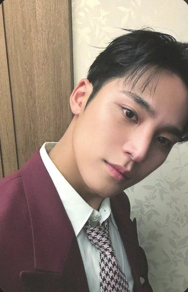 Mingyu SEVENTEEN photocard - SPILL THE FEELS Photocard