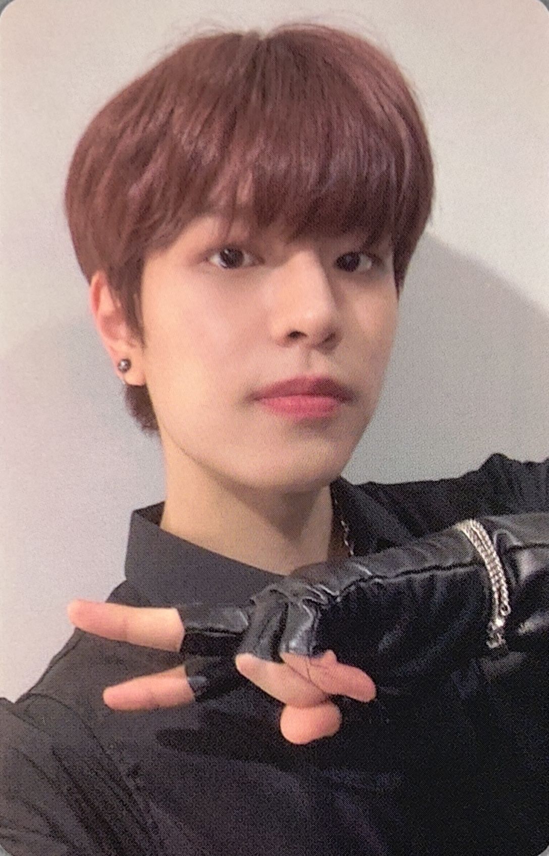 Dicon D'Festa Photocard