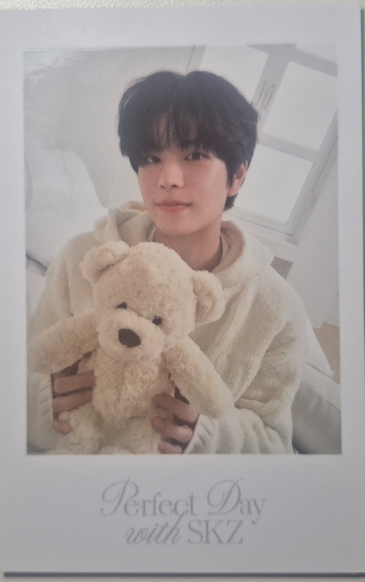 2024 Season's Greetings - Perfect Day with SKZ Polaroid Photocard Set