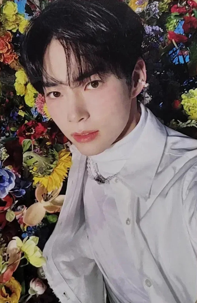 Photocards