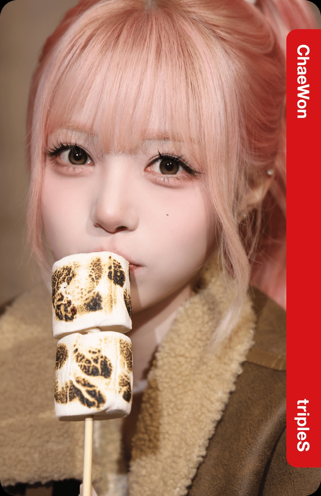 Lotte Home Shopping Collab Double Class Objekt - Film Version