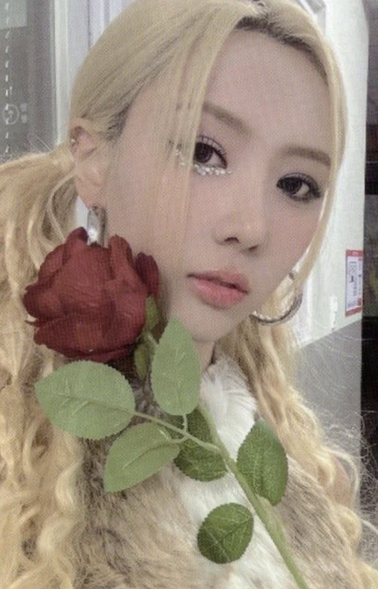 Yoohyeon Dreamcatcher photocard from Trading card 1.0 rose