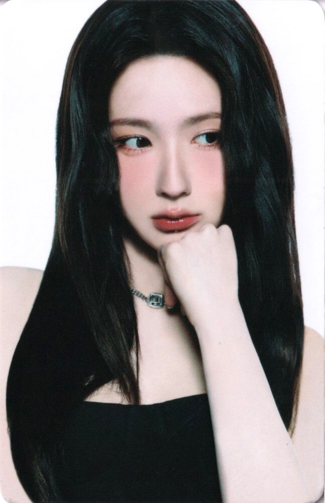2026 Syncopation in YOKOHAMA Random Photocard Set