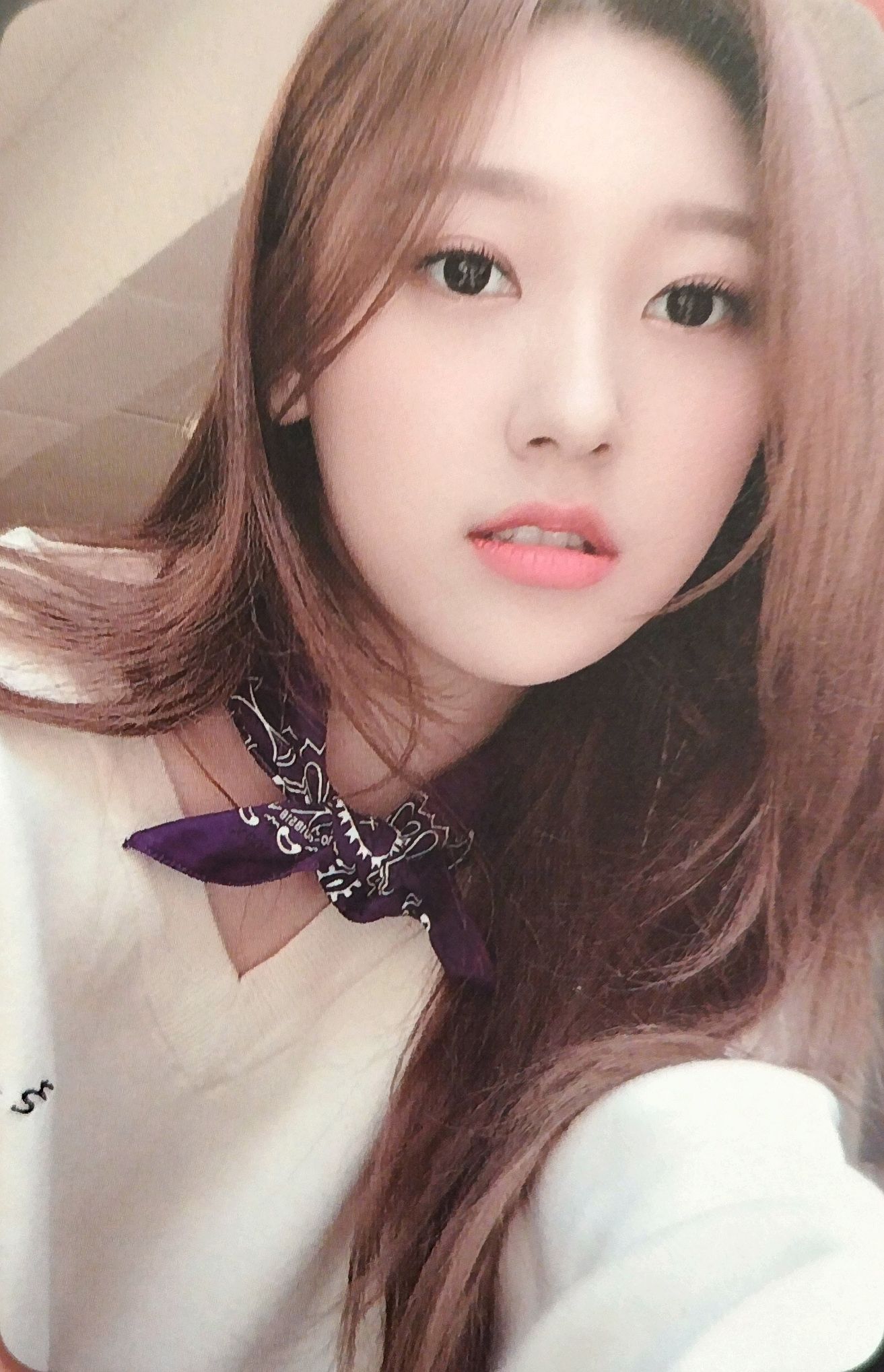 Choerry LOONA photocard Photocard Set
