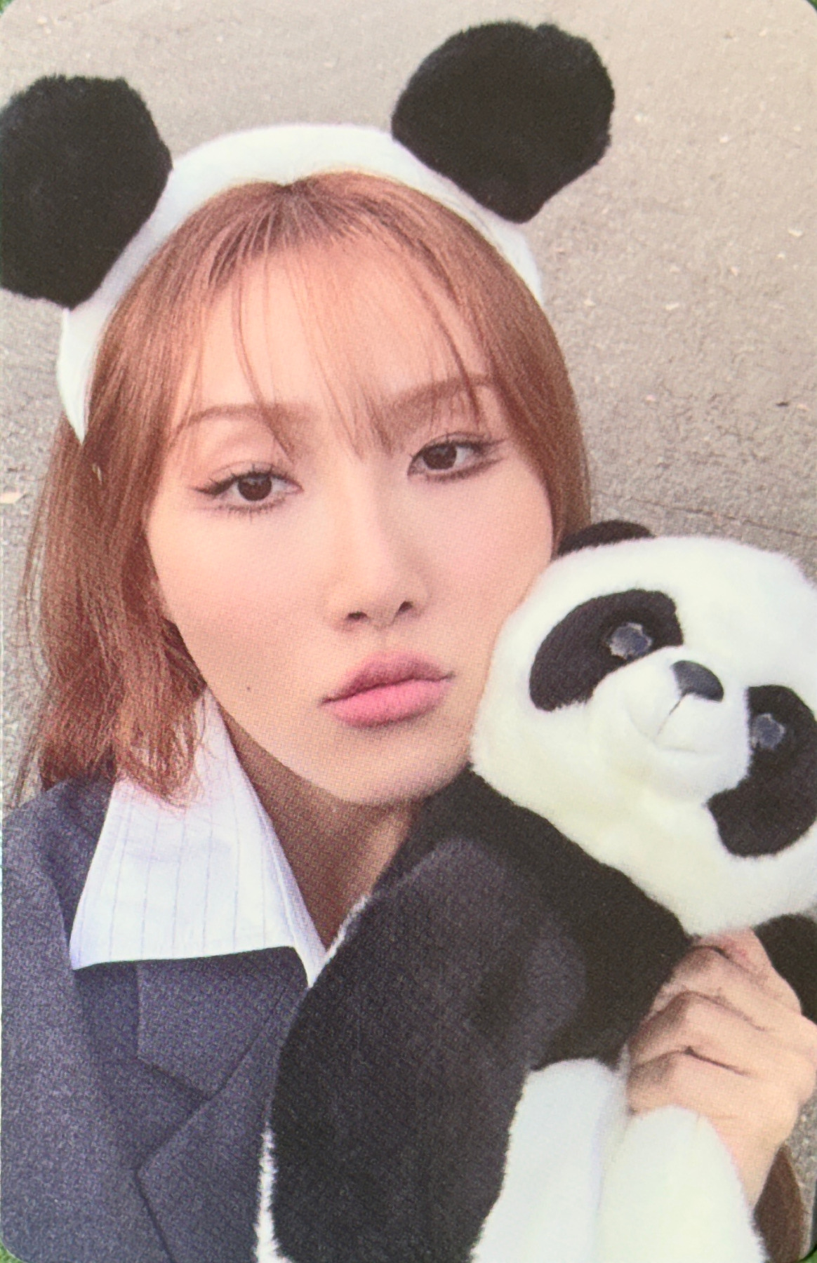 2024 Season's Greetings - My Bright Day Photocards