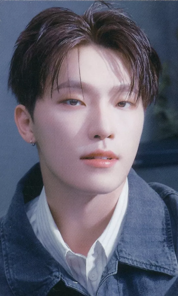 Dino SEVENTEEN photocard from Preorder