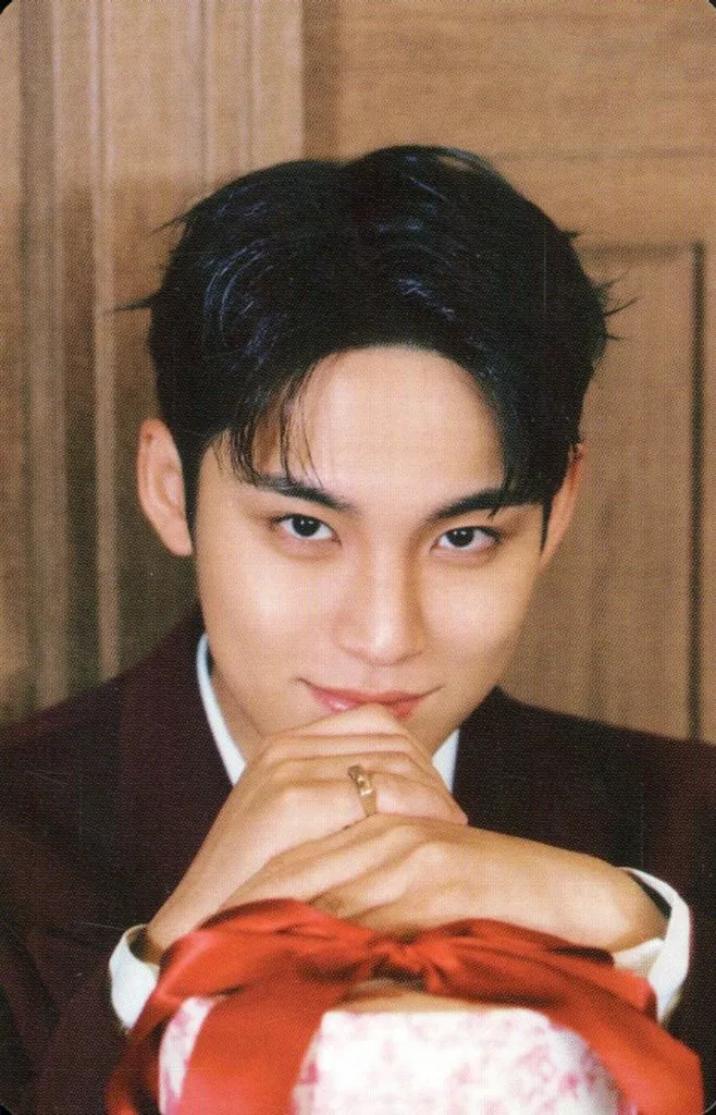 Mingyu SEVENTEEN photocard - SPILL THE FEELS Booklet (Random Member set)