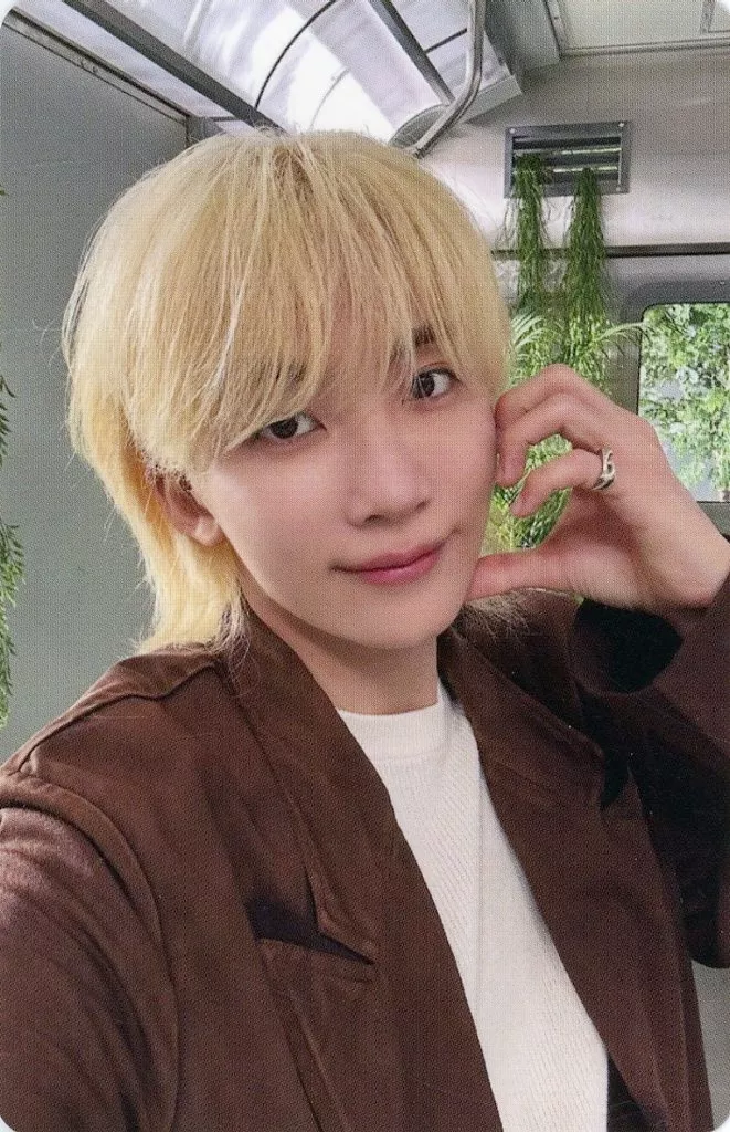 Jeonghan SEVENTEEN photocard from Selfie Photocard B