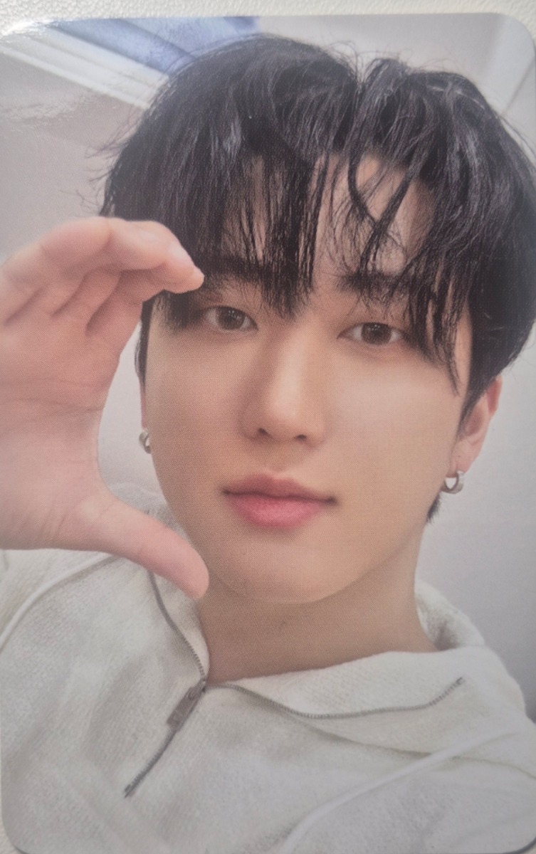 2024 Season's Greetings - Perfect Day with SKZ Selfie Photocard Set