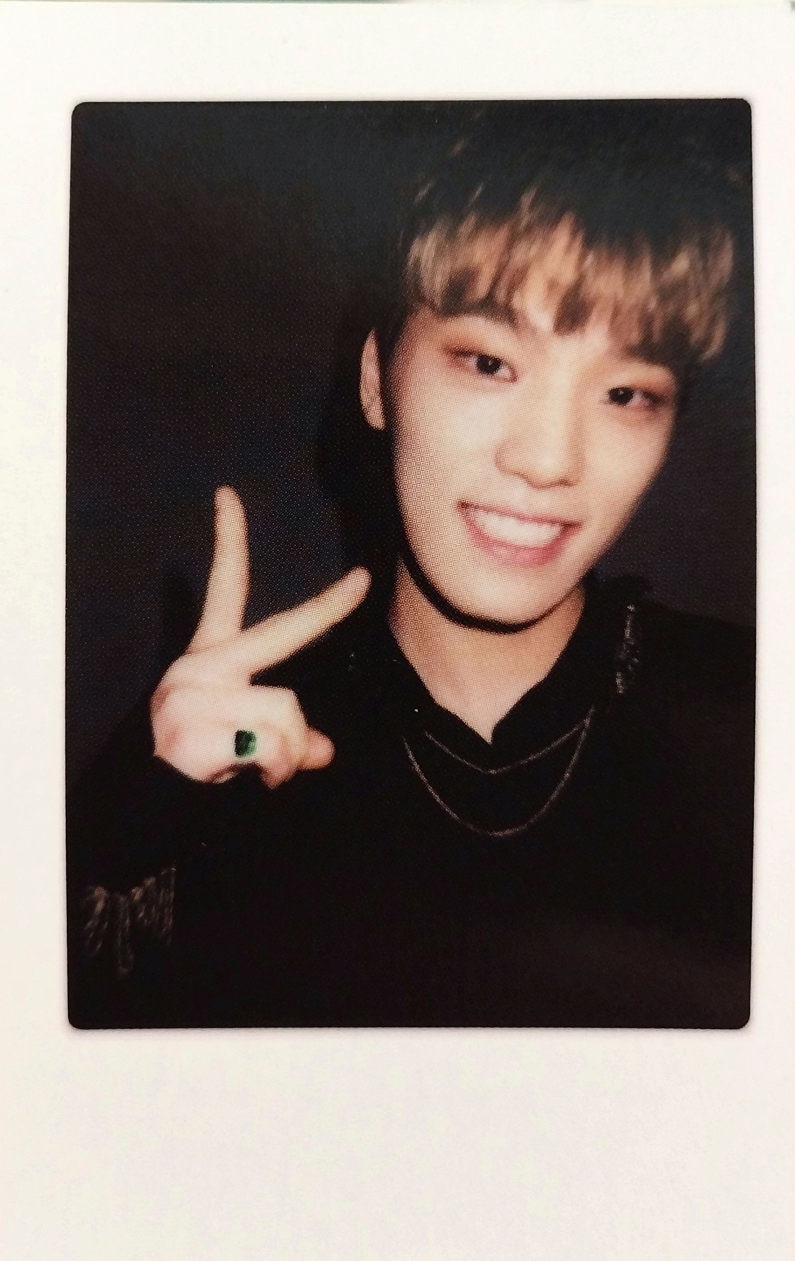 Dino photocard