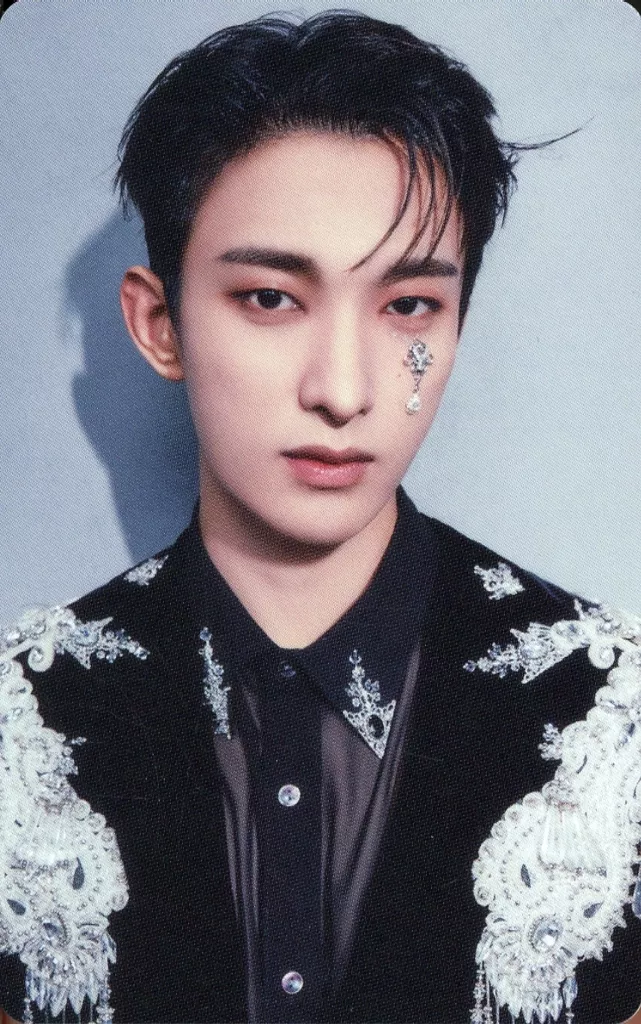 DK SEVENTEEN photocard from Benefit