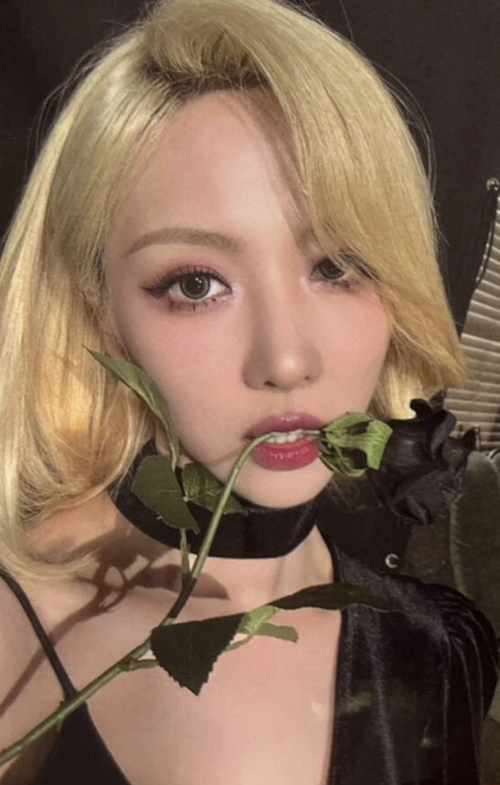 Photocard
