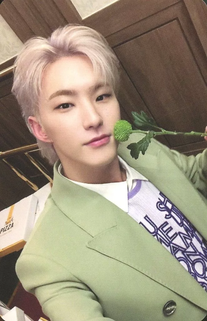 Hoshi SEVENTEEN photocard - SPILL THE FEELS Photocard