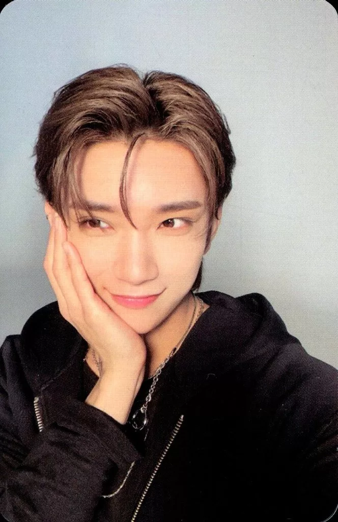 Joshua SEVENTEEN photocard - SPILL THE FEELS Photocard