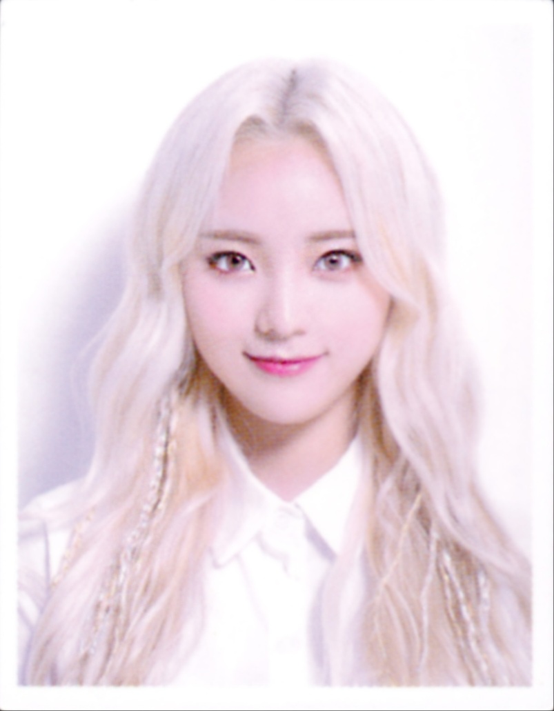 JinSoul LOONA photocard ID Photo Set