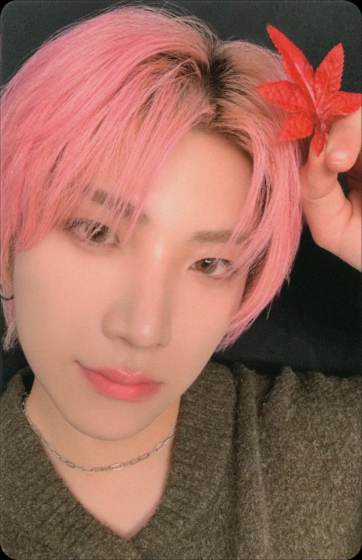 Yuma &TEAM photocard from Photocard