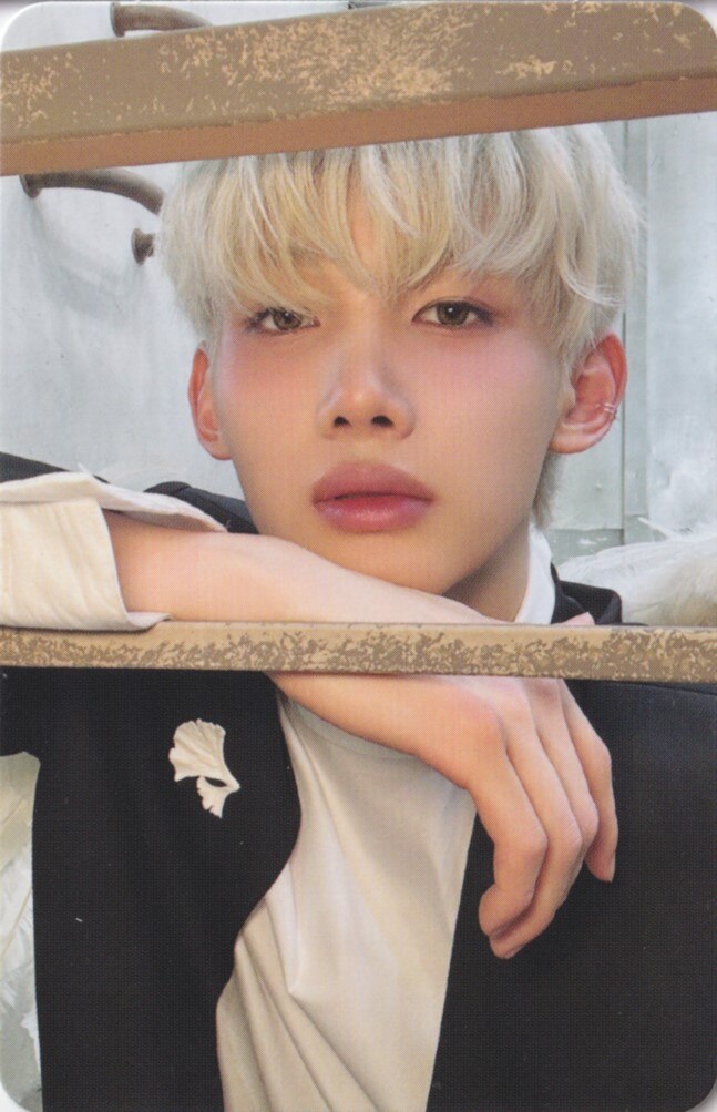 Jo &TEAM photocard from Photocard B
