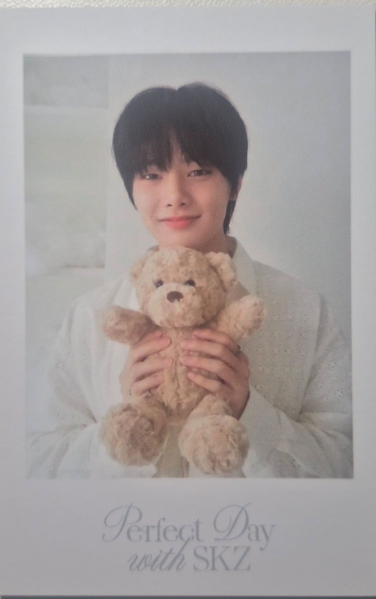 2024 Season's Greetings - Perfect Day with SKZ Polaroid Photocard Set