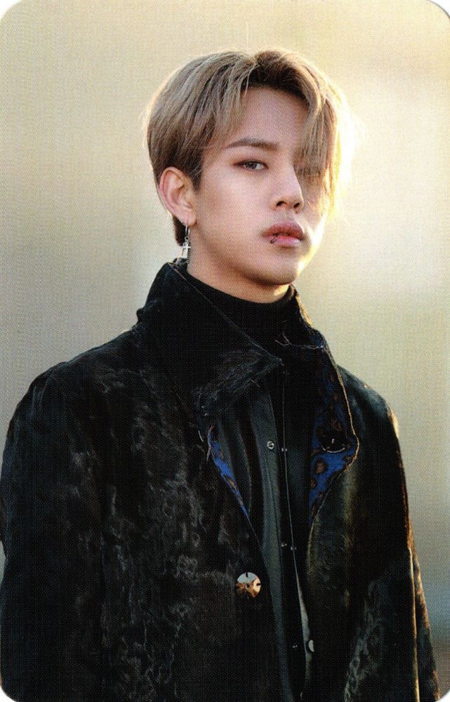 Daehyun photocard