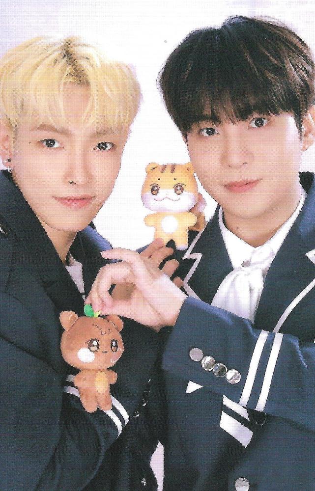 ANITEEZ in ILLUSION Random Trading Card