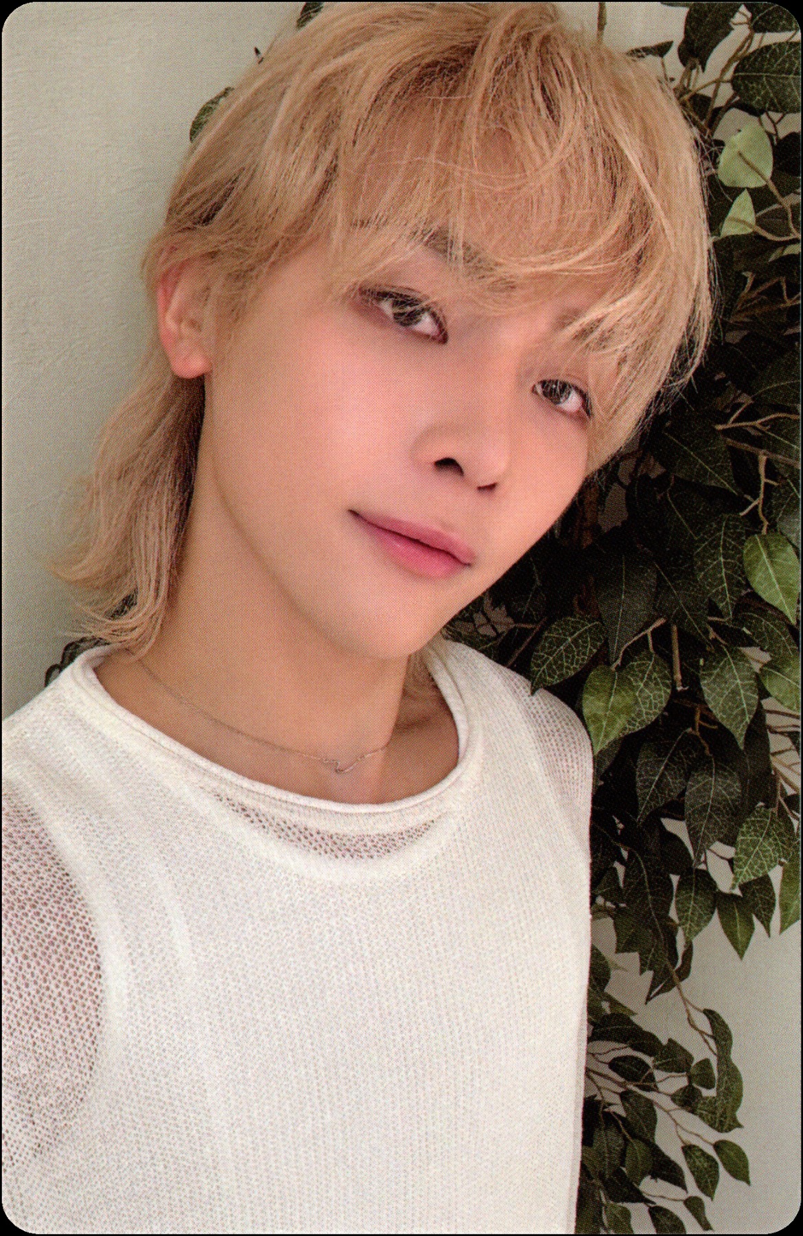 2026 Season's Greetings Photocards