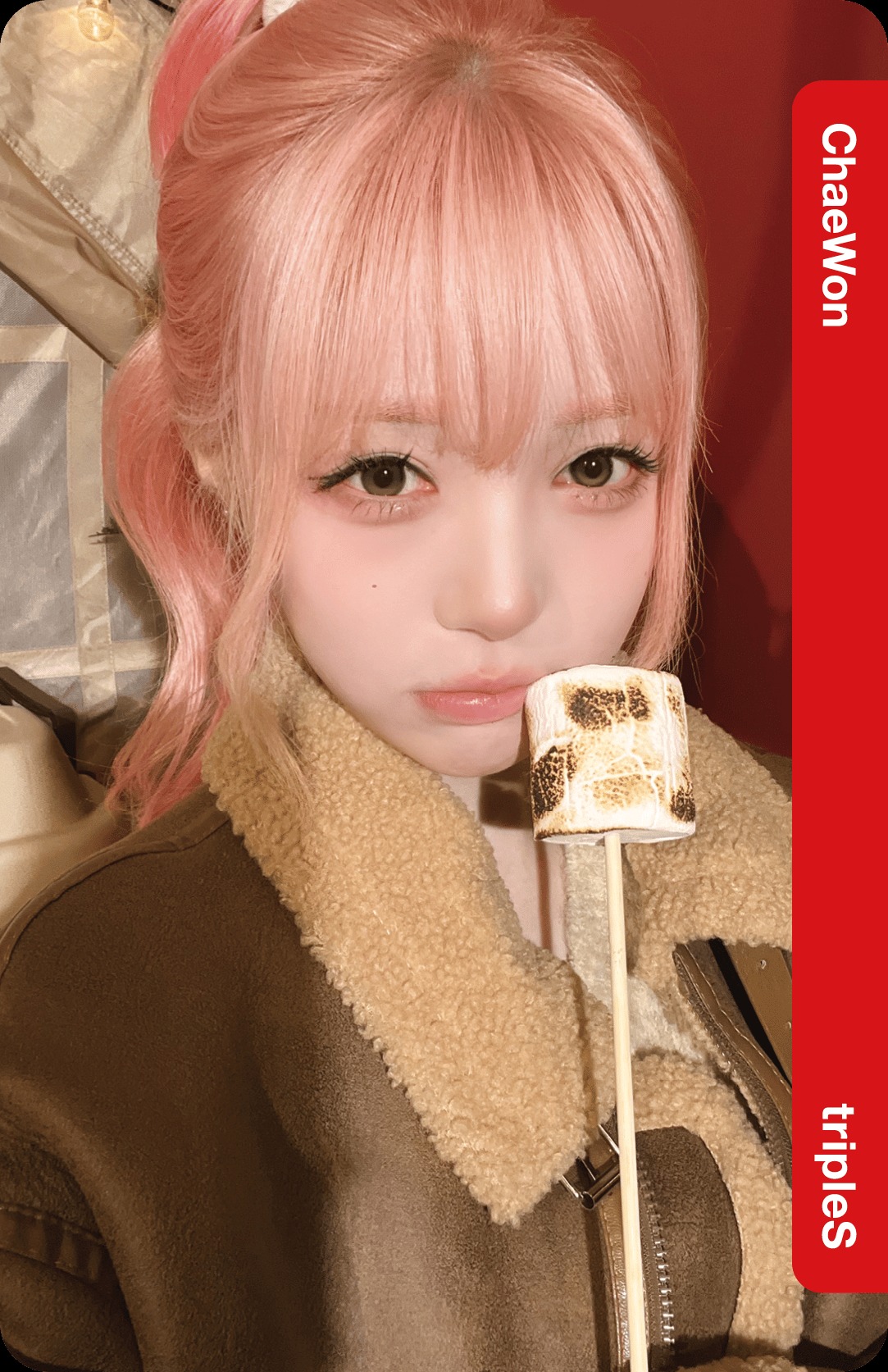 Lotte Home Shopping Collab Double Class Objekt - Selfie Version