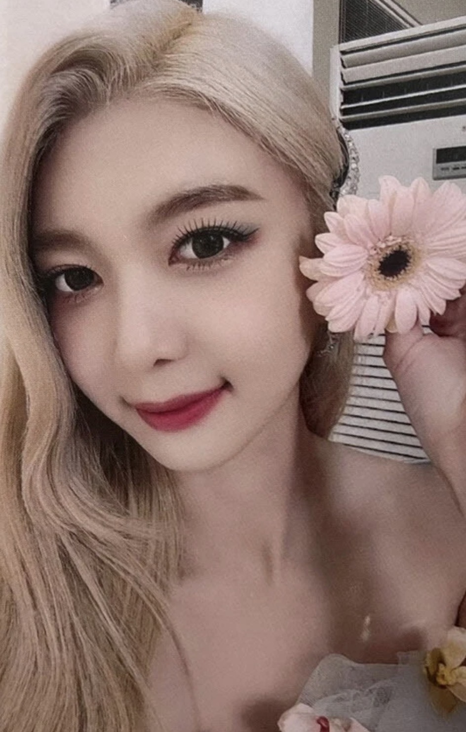 Dami