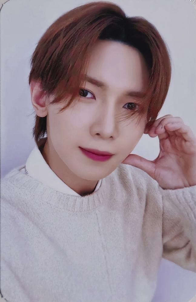 ANITEEZ in DREAMLAND Mini Body Pillow