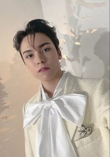 Vernon SEVENTEEN photocard from Trading Cards